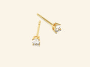 Oval Earrings
