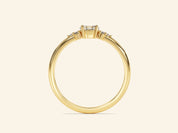 Cluster Promise Ring