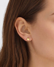 Golden Star Studs