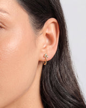 Scatter Cluster Hoops