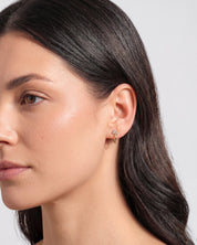 Scatter Cluster Hoops