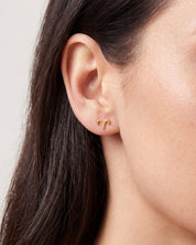 Zodiac Stud Earrings