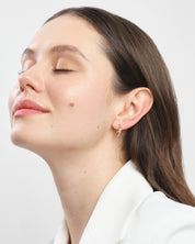 Sculpted Curve Hoops
