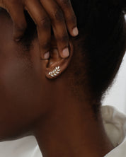 Vine Leaf Climbers