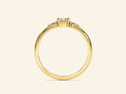 Cluster Promise Ring