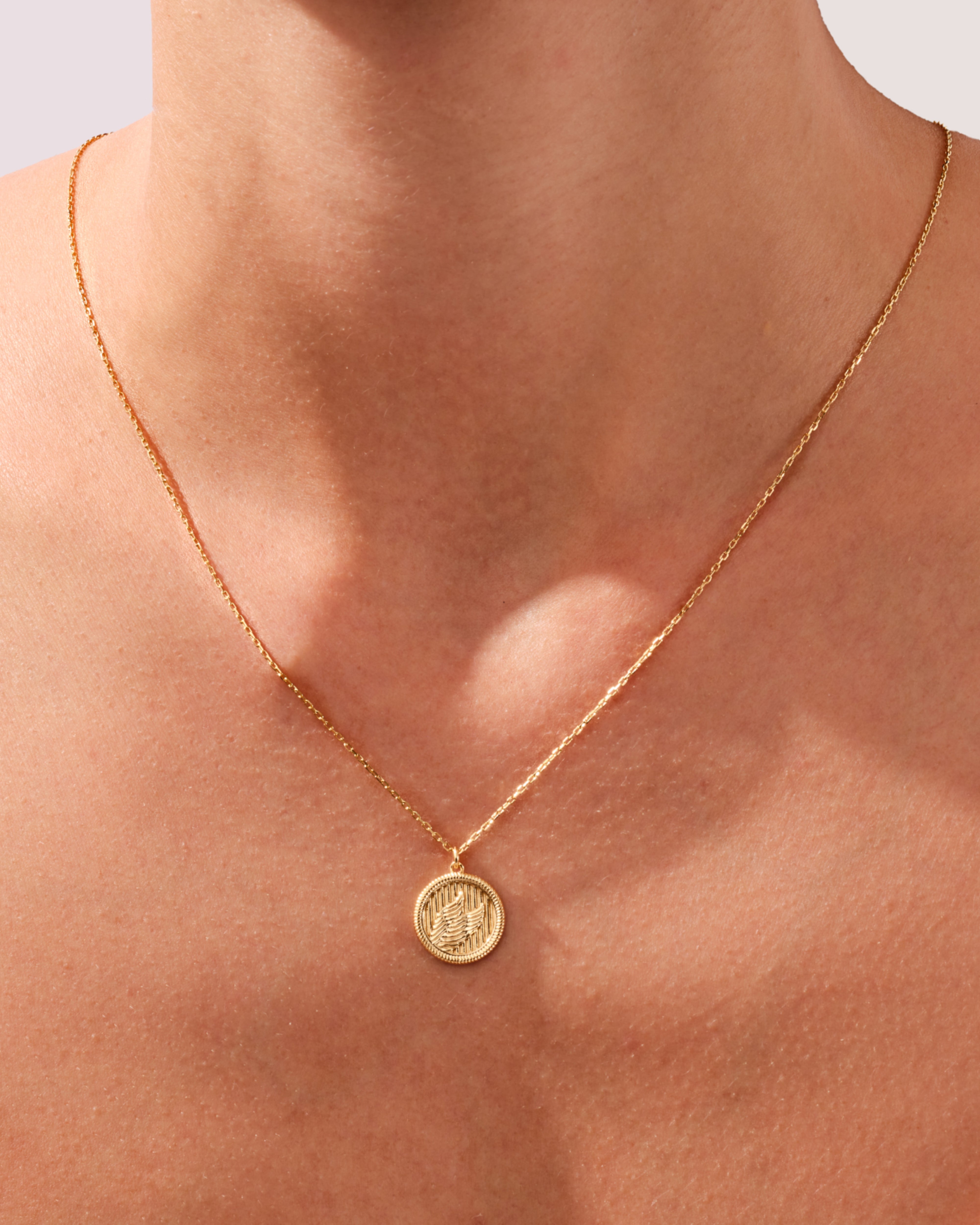Winged Coin Necklace