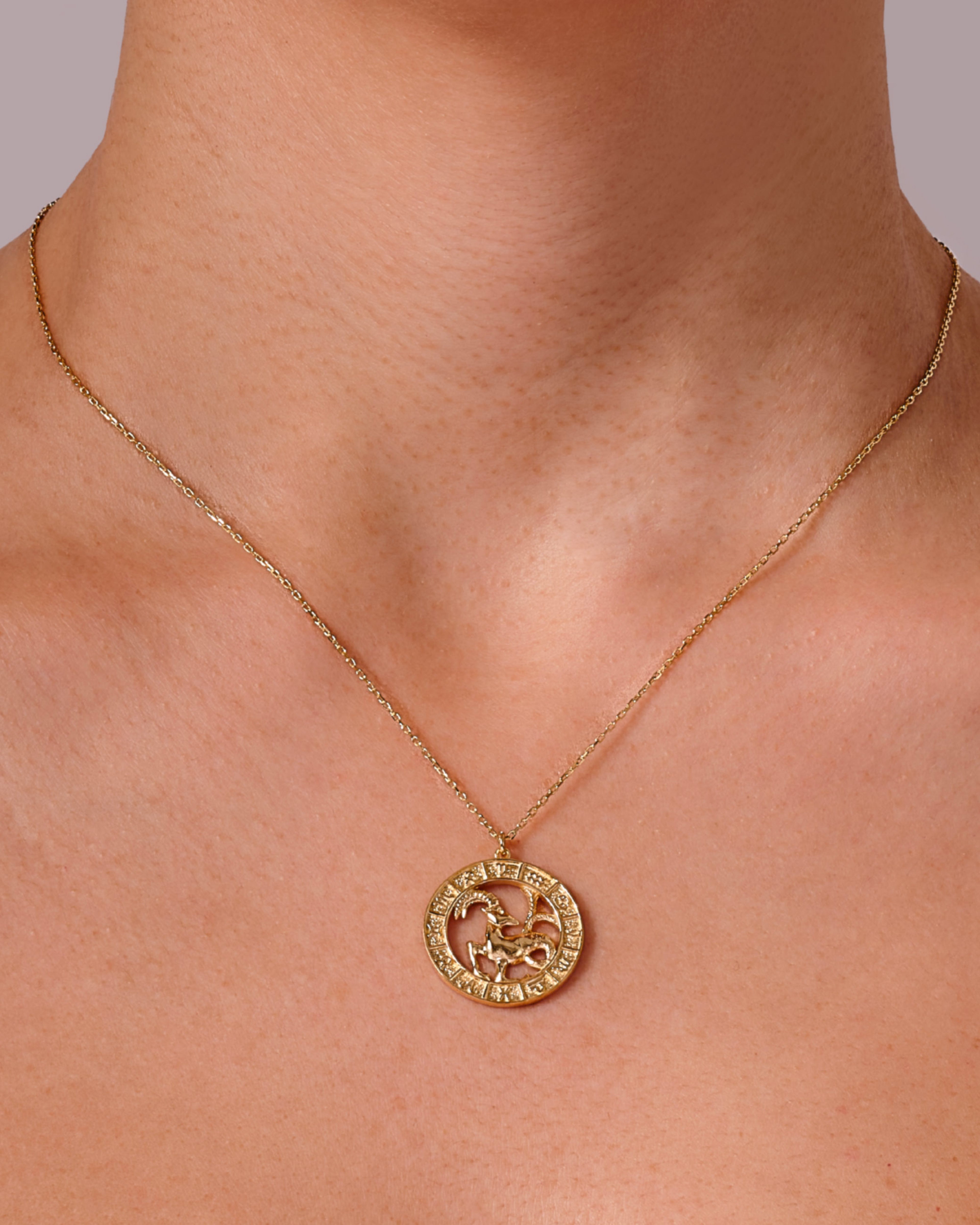 Capricorn Charm Necklace