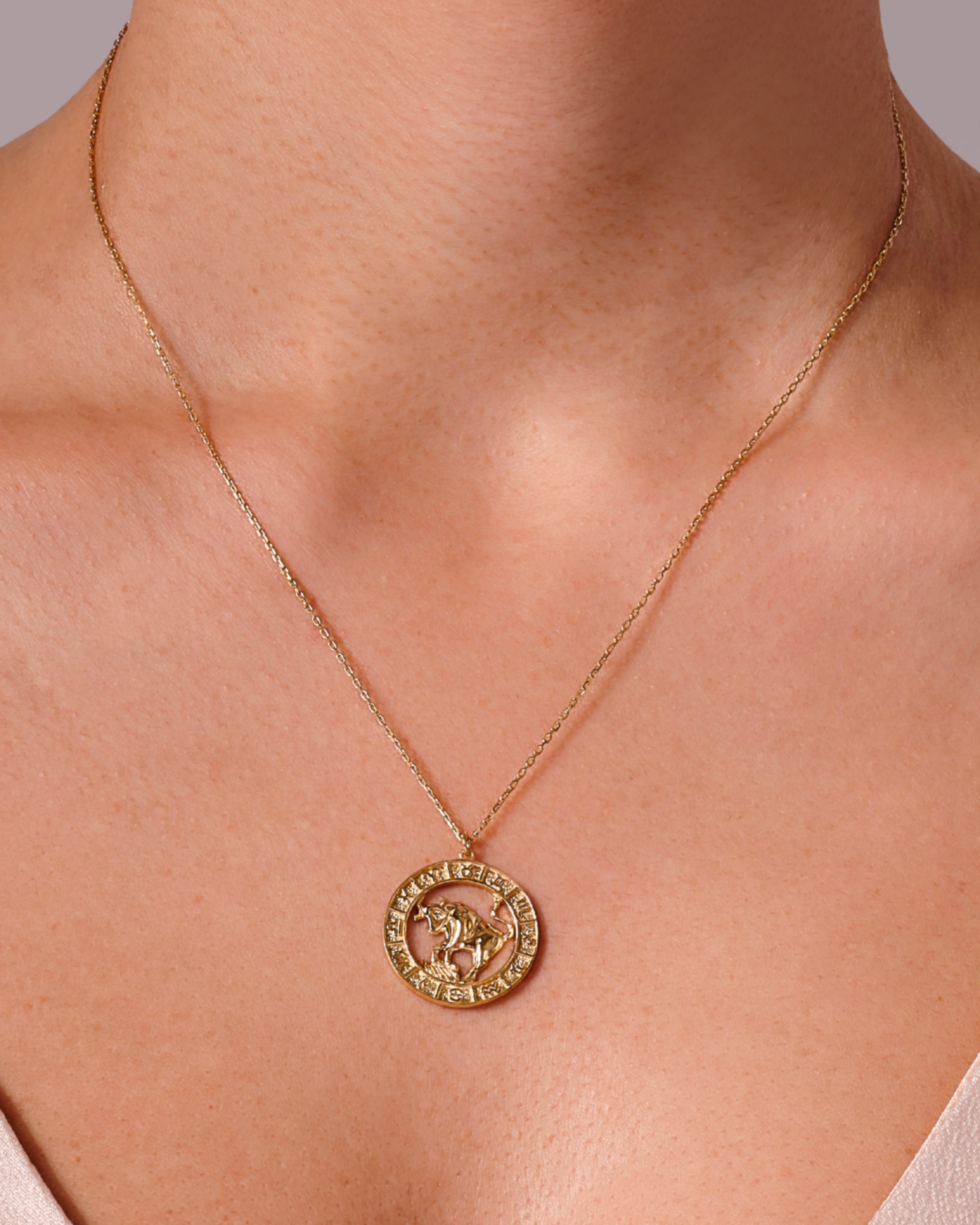 Taurus Charm Necklace